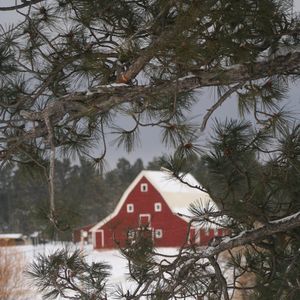 Meet your Posher, Judi